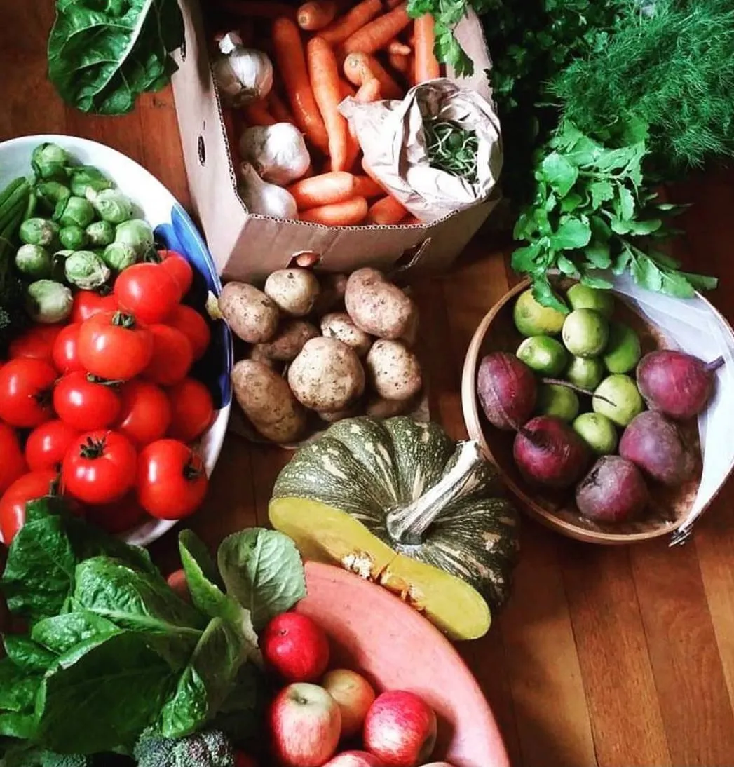 A table of fresh vegetables and fruit: tomatoes, carrots, garlic, potatoes, pumpkin, beetroot, limes, apples and leafy greens